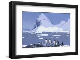 Gentoo Penguin-DLILLC-Framed Photographic Print