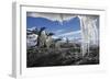 Gentoo Penguins and Icicles, Antarctica-Paul Souders-Framed Photographic Print