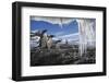 Gentoo Penguins and Icicles, Antarctica-Paul Souders-Framed Photographic Print