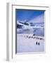 Gentoo Penguins, Antarctic Peninsula, Antarctica-Geoff Renner-Framed Photographic Print