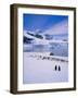 Gentoo Penguins, Antarctic Peninsula, Antarctica-Geoff Renner-Framed Photographic Print