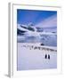 Gentoo Penguins, Antarctic Peninsula, Antarctica-Geoff Renner-Framed Photographic Print