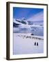 Gentoo Penguins, Antarctic Peninsula, Antarctica-Geoff Renner-Framed Photographic Print