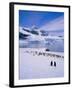 Gentoo Penguins, Antarctic Peninsula, Antarctica-Geoff Renner-Framed Photographic Print