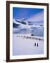 Gentoo Penguins, Antarctic Peninsula, Antarctica-Geoff Renner-Framed Photographic Print