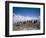 Gentoo Penguins, Antarctica, Polar Regions-Geoff Renner-Framed Photographic Print