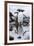 Gentoo Penguins, Antarctica-Paul Souders-Framed Photographic Print