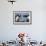 Gentoo Penguins in Rookery, Antarctica-Paul Souders-Framed Photographic Print displayed on a wall