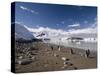 Gentoo Penguins, Neko Harbor, Gerlache Strait, Antarctic Peninsula, Antarctica, Polar Regions-Sergio Pitamitz-Stretched Canvas