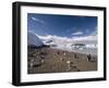 Gentoo Penguins, Neko Harbor, Gerlache Strait, Antarctic Peninsula, Antarctica, Polar Regions-Sergio Pitamitz-Framed Photographic Print