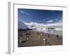 Gentoo Penguins, Neko Harbor, Gerlache Strait, Antarctic Peninsula, Antarctica, Polar Regions-Sergio Pitamitz-Framed Photographic Print