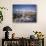 Gentoo Penguins on Wiencke Island, with Anvers Island in Distance, Antarctic Peninsula, Antarctica-Geoff Renner-Photographic Print displayed on a wall