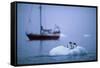 Gentoo Penguins Perching on Small Iceberg-Paul Souders-Framed Stretched Canvas