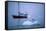 Gentoo Penguins Perching on Small Iceberg-Paul Souders-Framed Stretched Canvas