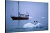 Gentoo Penguins Perching on Small Iceberg-Paul Souders-Stretched Canvas