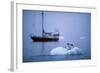 Gentoo Penguins Perching on Small Iceberg-Paul Souders-Framed Photographic Print