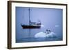 Gentoo Penguins Perching on Small Iceberg-Paul Souders-Framed Photographic Print