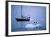 Gentoo Penguins Perching on Small Iceberg-Paul Souders-Framed Photographic Print