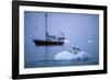 Gentoo Penguins Perching on Small Iceberg-Paul Souders-Framed Photographic Print