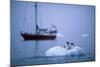 Gentoo Penguins Perching on Small Iceberg-Paul Souders-Mounted Photographic Print