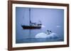 Gentoo Penguins Perching on Small Iceberg-Paul Souders-Framed Photographic Print