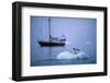 Gentoo Penguins Perching on Small Iceberg-Paul Souders-Framed Photographic Print