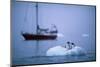 Gentoo Penguins Perching on Small Iceberg-Paul Souders-Mounted Photographic Print