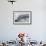 Gentoo Penguins (Pygoscelis Papua) Leaping into the Sea at Booth Island, Antarctica, Polar Regions-Michael Nolan-Framed Photographic Print displayed on a wall