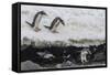 Gentoo Penguins (Pygoscelis Papua) Leaping into the Sea with Adelie Penguin at Booth Island-Michael Nolan-Framed Stretched Canvas