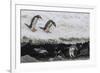 Gentoo Penguins (Pygoscelis Papua) Leaping into the Sea with Adelie Penguin at Booth Island-Michael Nolan-Framed Photographic Print