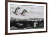 Gentoo Penguins (Pygoscelis Papua) Leaping into the Sea with Adelie Penguin at Booth Island-Michael Nolan-Framed Photographic Print