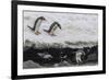 Gentoo Penguins (Pygoscelis Papua) Leaping into the Sea with Adelie Penguin at Booth Island-Michael Nolan-Framed Photographic Print