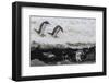 Gentoo Penguins (Pygoscelis Papua) Leaping into the Sea with Adelie Penguin at Booth Island-Michael Nolan-Framed Photographic Print