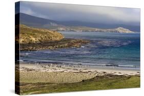 Gentoo Penguins (Pygoscelis Papua) on Beach with Mountains Shrouded in Low Cloud-Eleanor Scriven-Stretched Canvas