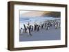 Gentoo Penguins (Pygoscelis Papua) on Beach with Rolling Waves-Eleanor Scriven-Framed Photographic Print