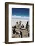 Gentoo Penguins. Saunders Island. Falkland Islands.-Tom Norring-Framed Photographic Print