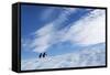 Gentoo Penguins standing on iceberg near Enterprise Island, Antarctica-Paul Souders-Framed Stretched Canvas