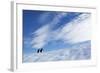 Gentoo Penguins standing on iceberg near Enterprise Island, Antarctica-Paul Souders-Framed Photographic Print