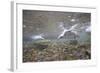 Gentoo Penguins Swimming on South Georgia Island-null-Framed Photographic Print