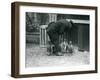 Gentoo Penguins with Keeper Albert White, London Zoo, C.1914-Frederick William Bond-Framed Photographic Print