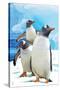 Gentoo Penguins-Lantern Press-Stretched Canvas