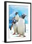 Gentoo Penguins-Lantern Press-Framed Art Print