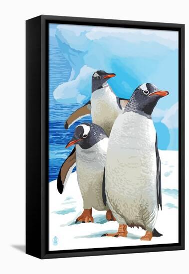 Gentoo Penguins-Lantern Press-Framed Stretched Canvas