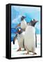 Gentoo Penguins-Lantern Press-Framed Stretched Canvas