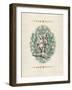 Gentry Owl-Morgan Yamada-Framed Art Print