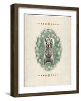 Gentry Squirrel-Morgan Yamada-Framed Art Print