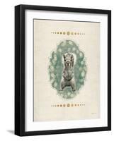 Gentry Squirrel-Morgan Yamada-Framed Art Print