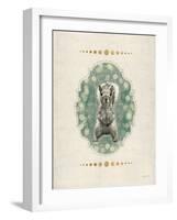 Gentry Squirrel-Morgan Yamada-Framed Art Print