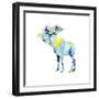 Geo Animal III-Grace Popp-Framed Art Print