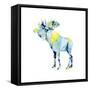 Geo Animal III-Grace Popp-Framed Stretched Canvas